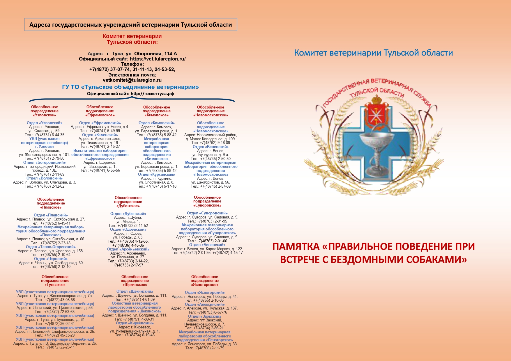 Правильное поведение при встрече с бездомными собаками.